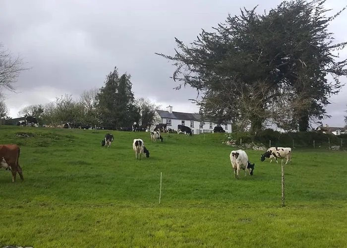 Gortamullen House, Kenmare
